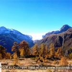 G P El Cid per Said in Italy blog 2015 2010 10 18 Valgrisenche e Aosta 036