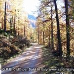 G P El Cid per Said in Italy blog 2015 2010 10 18 Valgrisenche e Aosta 103
