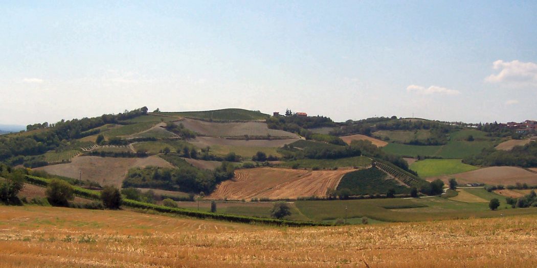 Fotografia di un panorama tipico del Monferrato